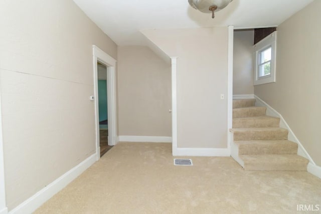staircase featuring carpet flooring