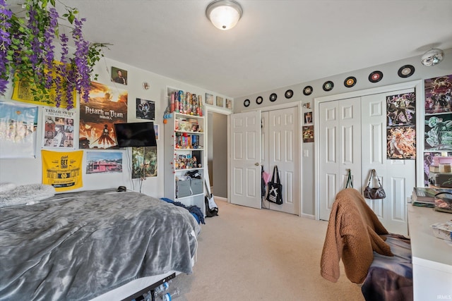 25860 Running Creek Dr, South Bend, IN 46628 - bedroom featuring multiple closets and carpet flooring