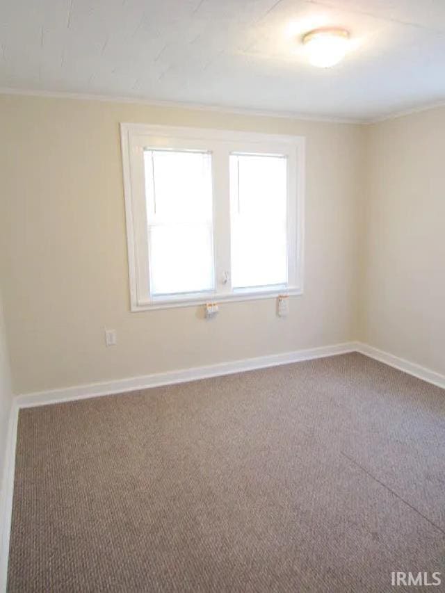 unfurnished room with crown molding, carpet, and baseboards