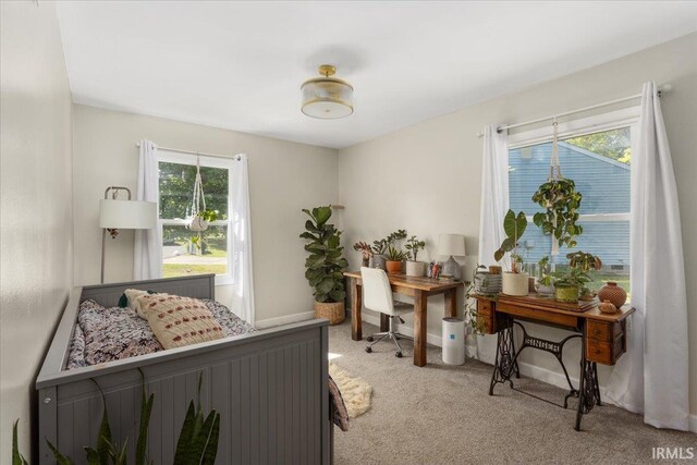 736 Paradise Ave, Lafayette, IN 47905 - bedroom featuring light carpet