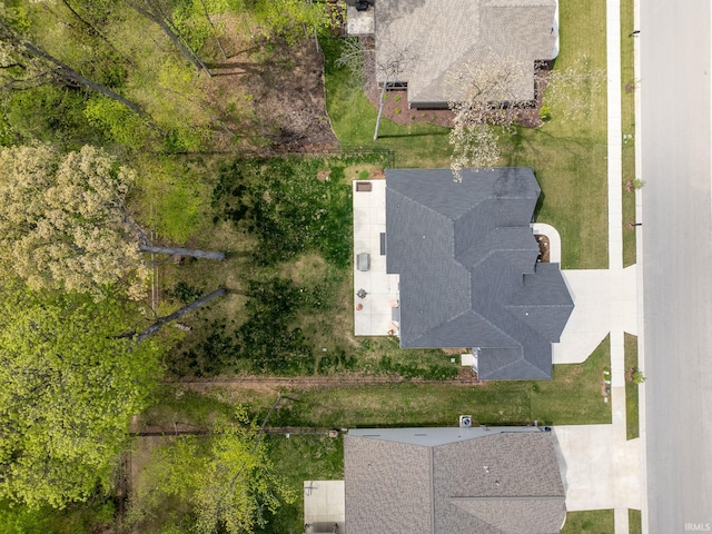 bird's eye view