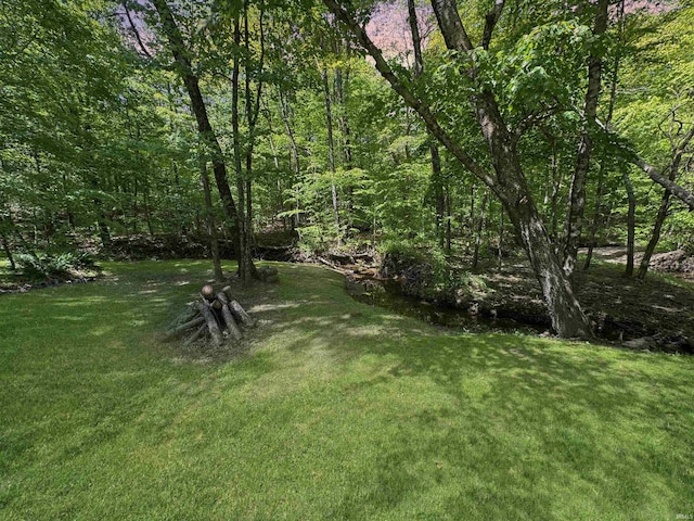 2548 N Letterman Rd, Paragon, IN 46166 - view of green lawn featuring a wooded view