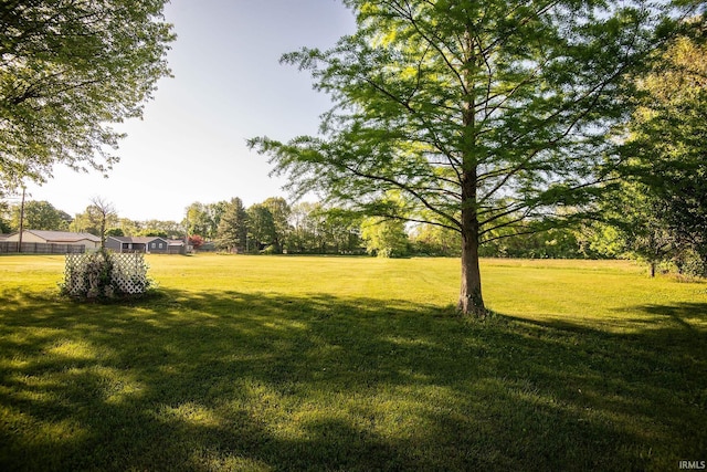218 S 22nd St, Vincennes, IN 47591 - view of green lawn