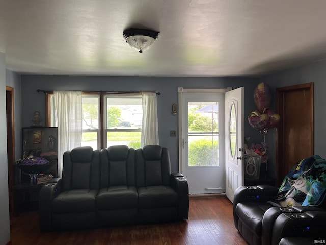 502 W Vantrees St, Washington, IN 47501 - living area featuring dark wood-style floors