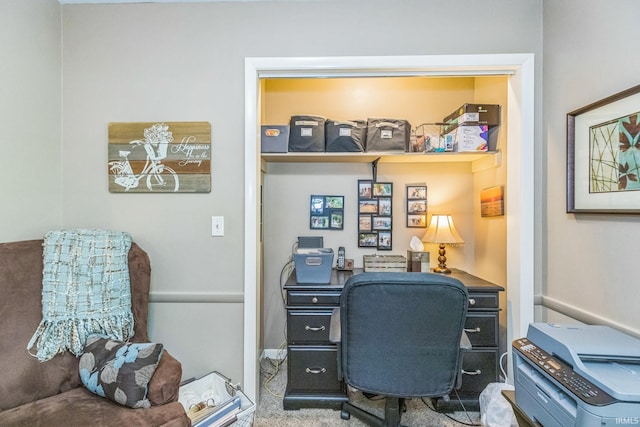 410 Longtree Ln, Logansport, IN 46947 - view of carpeted office