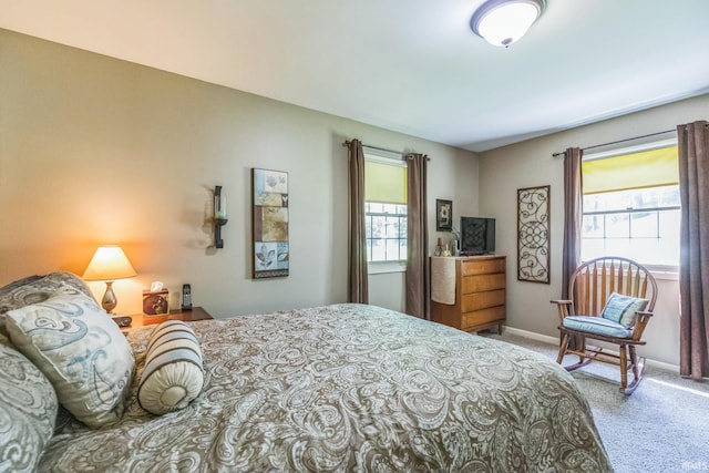 410 Longtree Ln, Logansport, IN 46947 - carpeted bedroom featuring multiple windows and baseboards