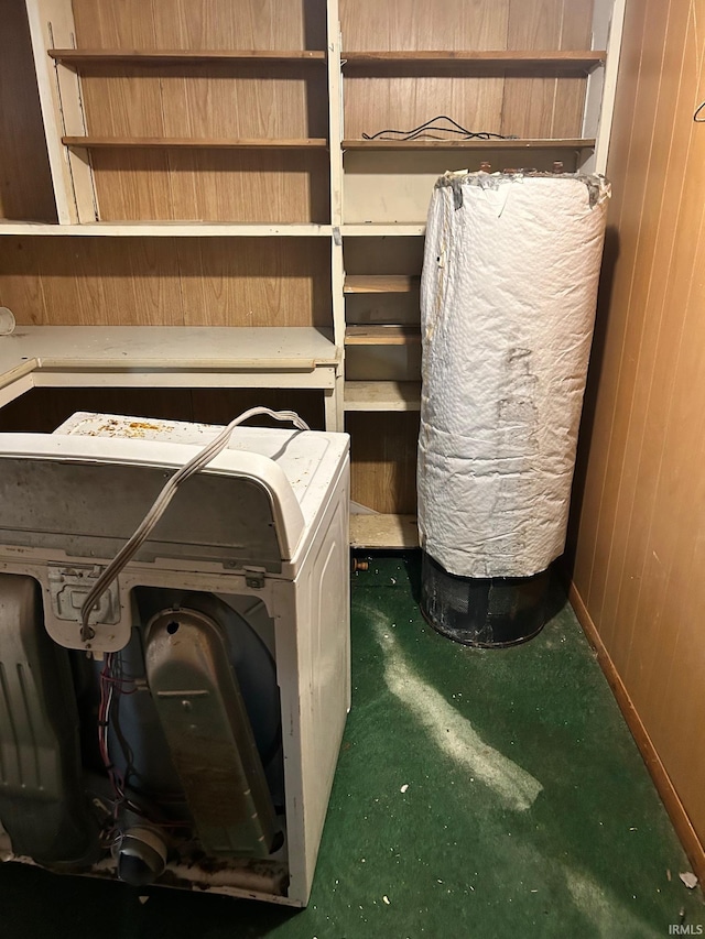 laundry view of wooden walls