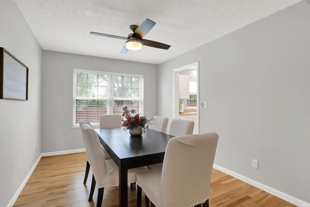 4113 S Hedgewood Ct, Bloomington, IN 47403 - dining area with light wood-style flooring, baseboards, and a ceiling fan