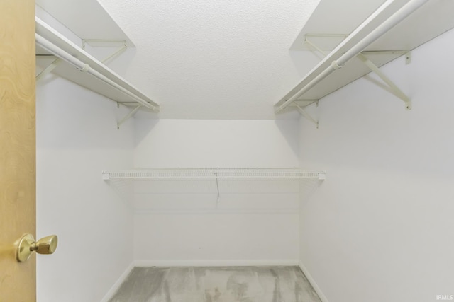 3400 W Riggin Rd Unit 6, Muncie, IN 47304 - walk in closet with carpet flooring