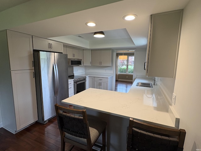 1643 W 1st St, Jasper, IN 47546 - kitchen with appliances with stainless steel finishes, a tray ceiling, a peninsula, a sink, and dark wood-style floors