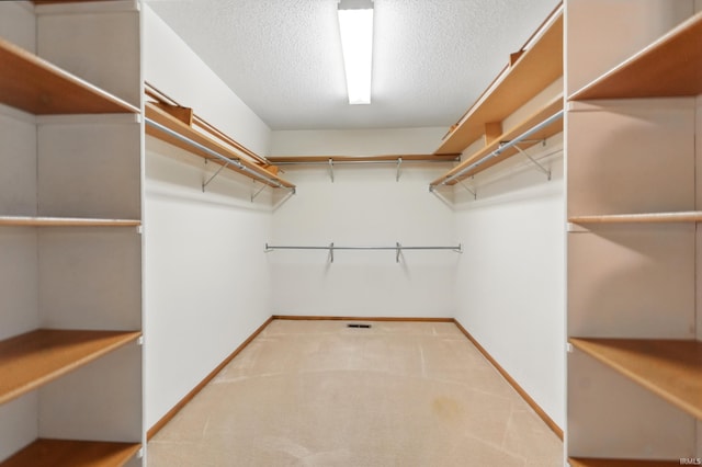 spacious closet featuring carpet flooring