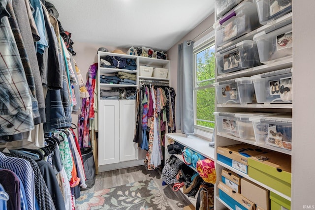 spacious closet featuring wood finished floors