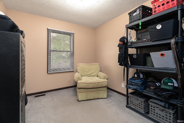 20 Gregory Ct, Lafayette, IN 47905 - living area with a textured ceiling, carpet flooring, and baseboards