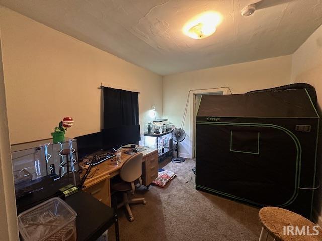 home office featuring carpet floors