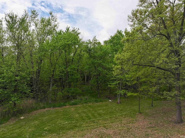 view of woods