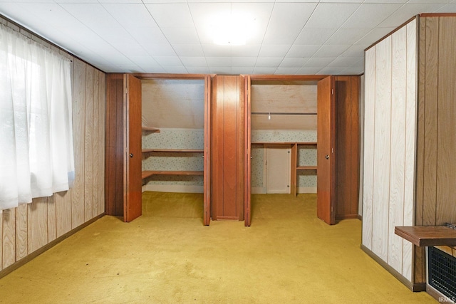 3648 E 300 S, Albion, IN 46701 - unfurnished bedroom featuring carpet, baseboards, and wooden walls