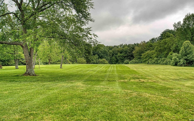 844 Old Plank Rd, Chandler, IN 47610 - view of grassy yard featuring a view of trees