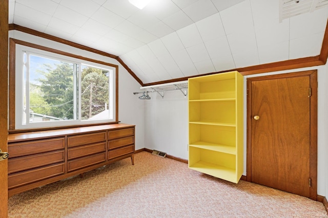 3430 Woodrow Ave, Fort Wayne, IN 46805 - spacious closet featuring vaulted ceiling and light colored carpet