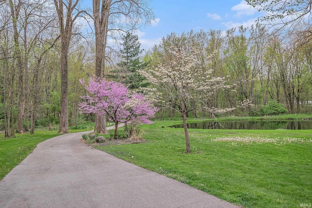 5480 E 900 N, Syracuse, IN 46567 - surrounding community featuring a yard and a water view