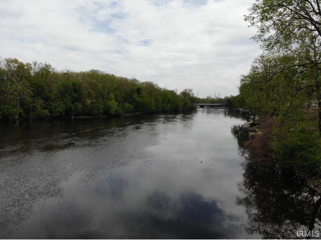 water view featuring a forest