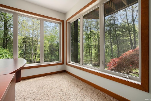 51205 County Road 25th Rd, Bristol, IN 46507 - unfurnished sunroom with carpet floors and baseboards