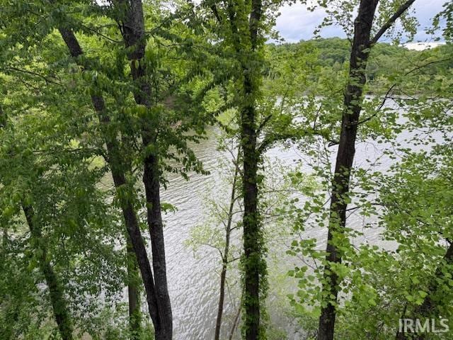 4068 E Eagle Bay Dr Unit 46, Bloomington, IN 47401 - water view with a forest