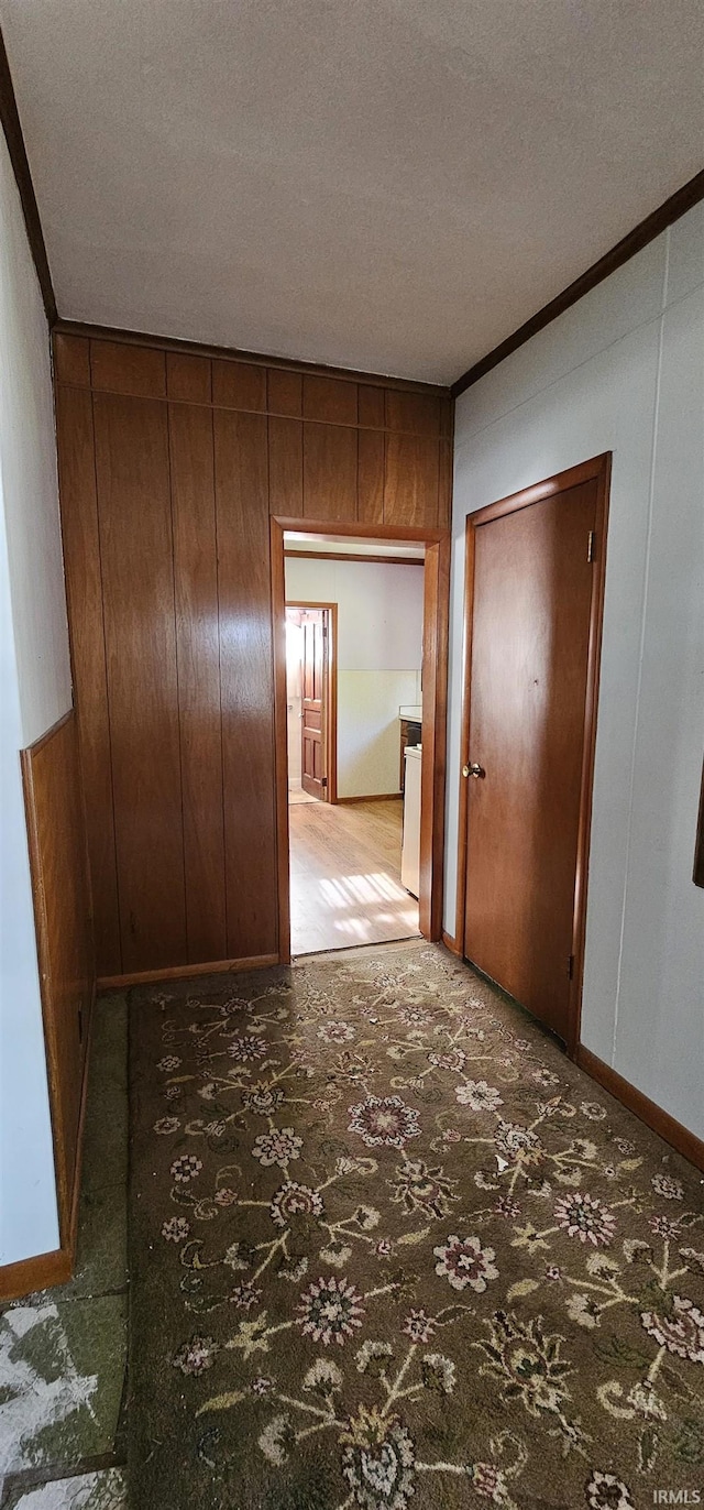 hall with carpet, crown molding, baseboards, a textured ceiling, and wooden walls