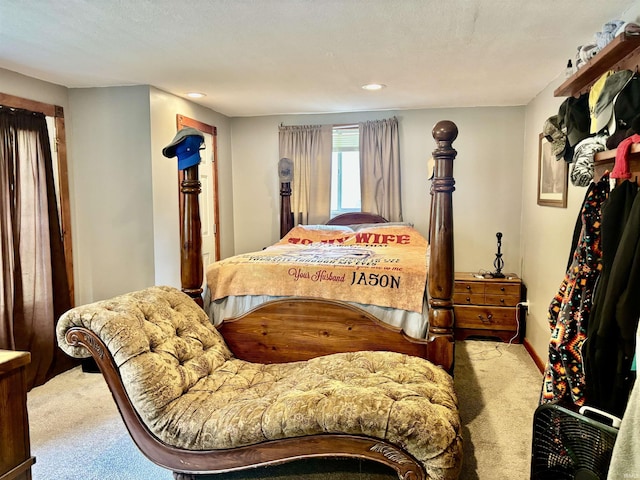 4203 Logansport Rd, Logansport, IN 46947 - bedroom featuring carpet floors and recessed lighting