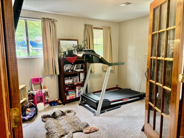 4203 Logansport Rd, Logansport, IN 46947 - workout area with carpet floors and plenty of natural light