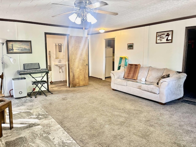 4203 Logansport Rd, Logansport, IN 46947 - carpeted living area featuring ceiling fan and ornamental molding
