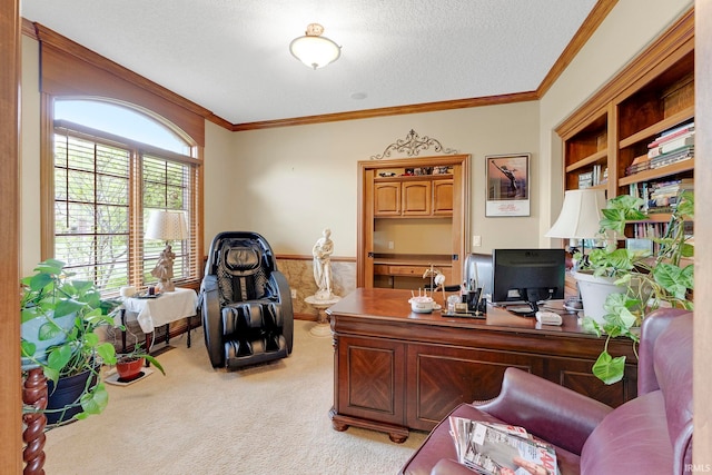 home office featuring light colored carpet, crown molding, and a textured ceiling