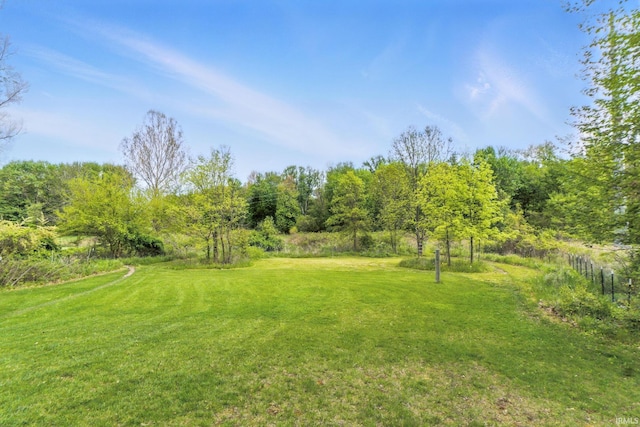 1004 Hathaway Rd, Fort Wayne, IN 46845 - view of yard