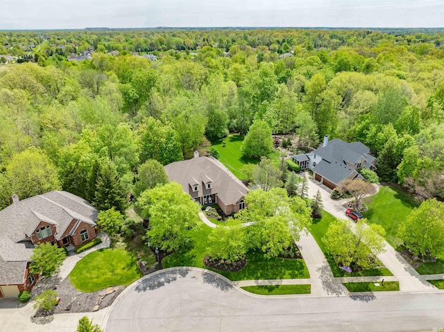 bird's eye view of a forest
