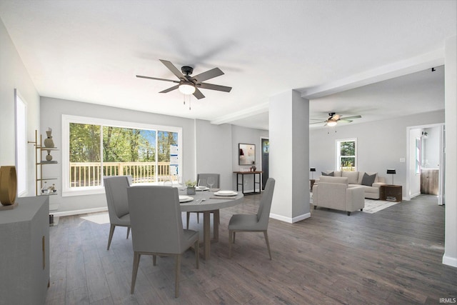 10059 Jefferson Rd, Osceola, IN 46561 - dining space with a ceiling fan, baseboards, and wood finished floors