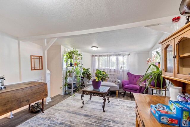 601 W Sycamore St, Kokomo, IN 46901 - living room featuring wood finished floors and a textured ceiling