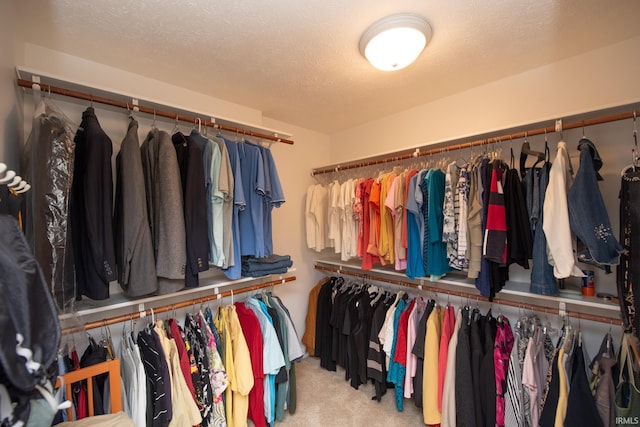 walk in closet with carpet floors