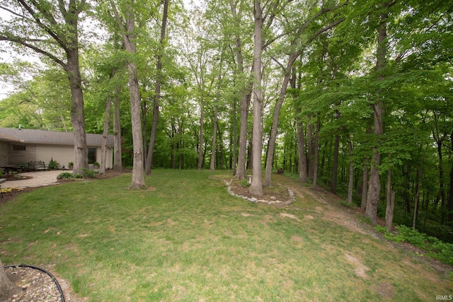 view of grassy yard