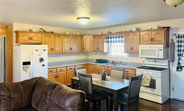 12820 E 150 N, Loogootee, IN 47553 - kitchen featuring white appliances, a sink, a textured ceiling, open floor plan, and light countertops
