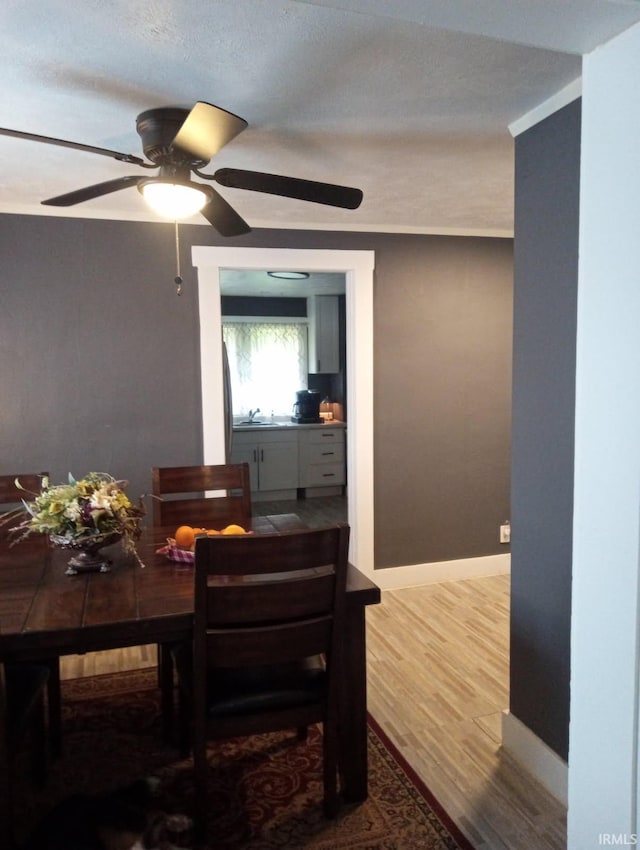 dining area with ceiling fan, wood finished floors, and baseboards