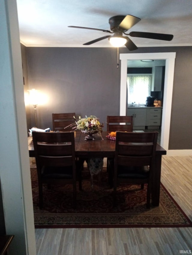 dining area featuring wood finished floors and ceiling fan