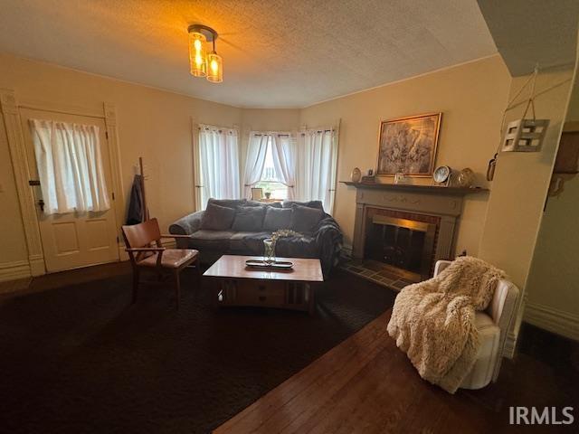 living area with a fireplace, wood finished floors, and a textured ceiling