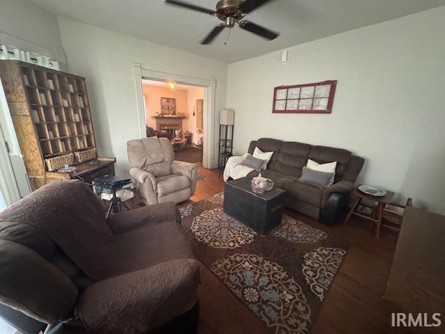 living area featuring wood finished floors and ceiling fan