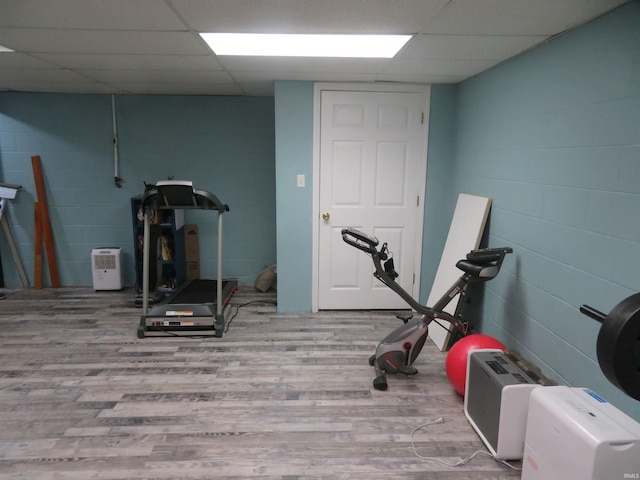 1243 Bellgrade Ave, Loogootee, IN 47553 - workout room with wood finished floors, concrete block wall, and a drop ceiling
