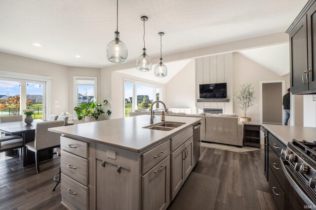 111 Big Rock Pass, Huntertown, IN 46748 - kitchen with open floor plan, a sink, stainless steel appliances, dark wood-style flooring, and lofted ceiling