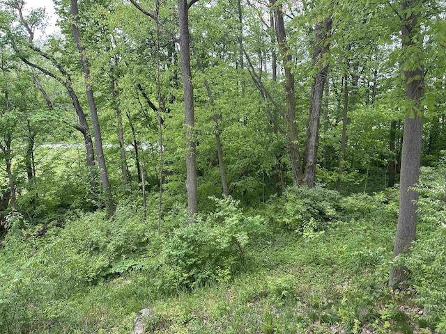 view of wooded area