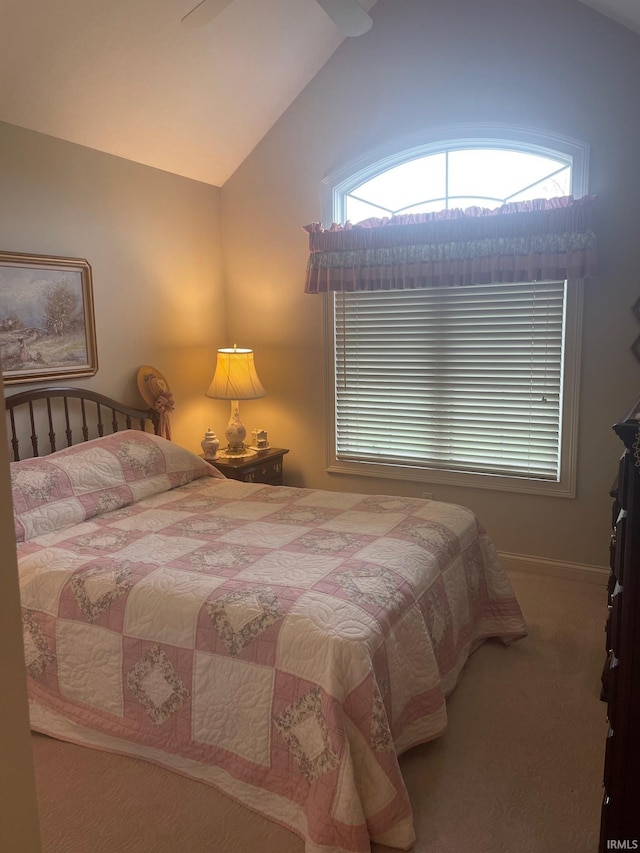 12116 Autumn Breeze Dr, Fort Wayne, IN 46845 - bedroom featuring lofted ceiling and carpet