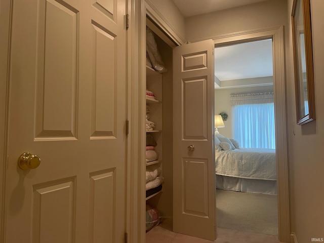 12116 Autumn Breeze Dr, Fort Wayne, IN 46845 - view of closet