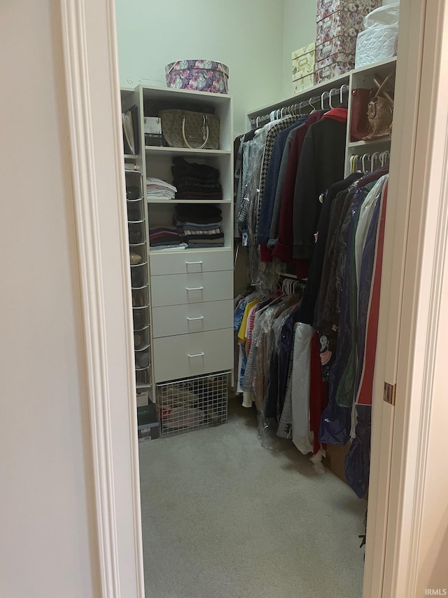 12116 Autumn Breeze Dr, Fort Wayne, IN 46845 - walk in closet with carpet