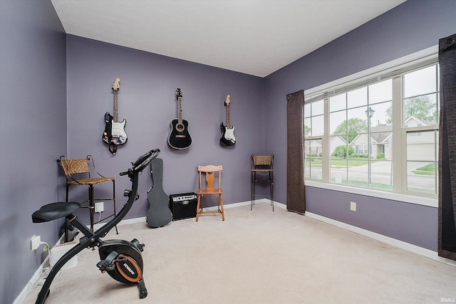 2507 Audri Ln, Kokomo, IN 46901 - exercise area with carpet floors and baseboards