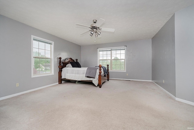 2507 Audri Ln, Kokomo, IN 46901 - bedroom with multiple windows, baseboards, and carpet